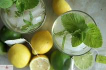 Iced-Citrus-and-Gin-Green-Tea
